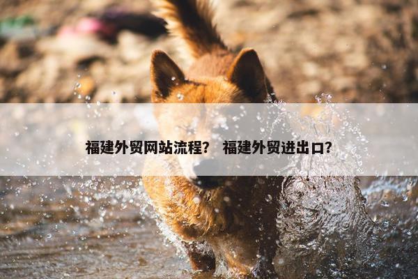 福建外贸网站流程？ 福建外贸进出口？