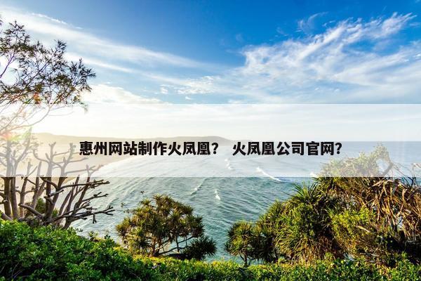 惠州网站制作火凤凰？ 火凤凰公司官网？