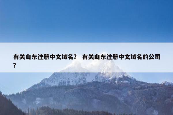 有关山东注册中文域名？ 有关山东注册中文域名的公司？
