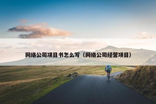 网络公司项目书怎么写（网络公司经营项目）