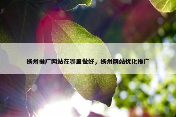 扬州推广网站在哪里做好，扬州网站优化推广