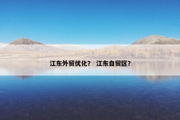 江东外贸优化？ 江东自贸区？