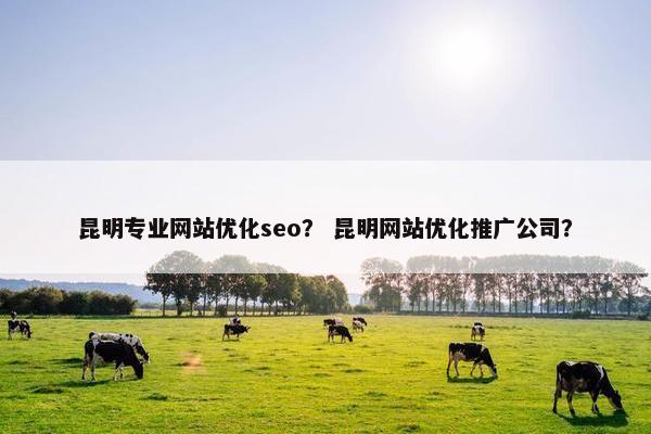昆明专业网站优化seo？ 昆明网站优化推广公司？
