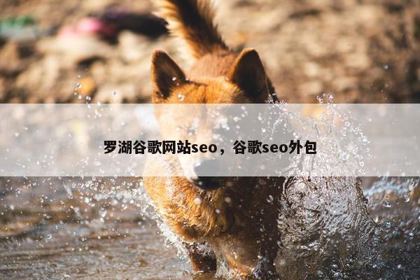 罗湖谷歌网站seo，谷歌seo外包