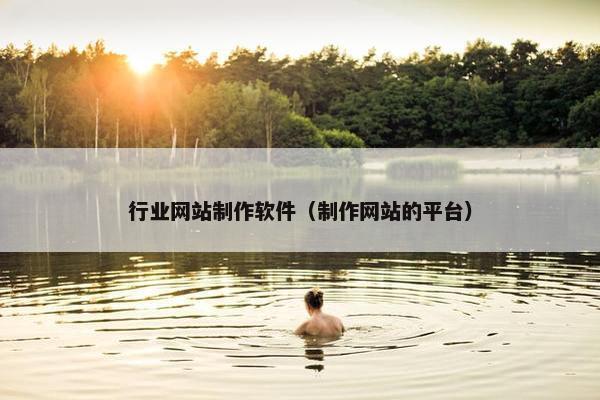行业网站制作软件（制作网站的平台）