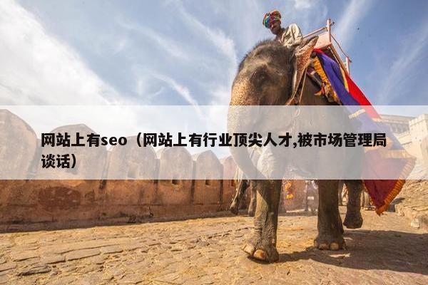 网站上有seo（网站上有行业顶尖人才,被市场管理局谈话）