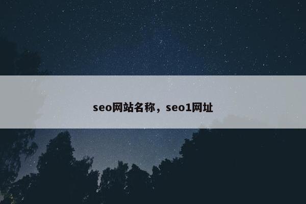 seo网站名称，seo1网址