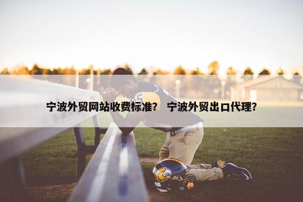宁波外贸网站收费标准？ 宁波外贸出口代理？