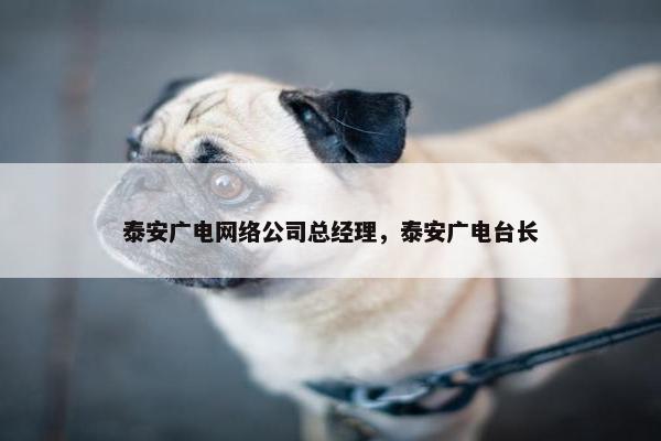 泰安广电网络公司总经理，泰安广电台长