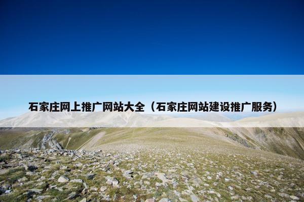 石家庄网上推广网站大全（石家庄网站建设推广服务）
