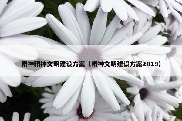 精神精神文明建设方案（精神文明建设方案2019）