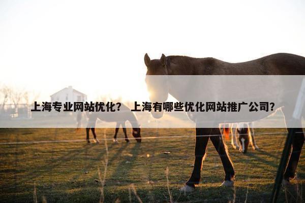 上海专业网站优化？ 上海有哪些优化网站推广公司？