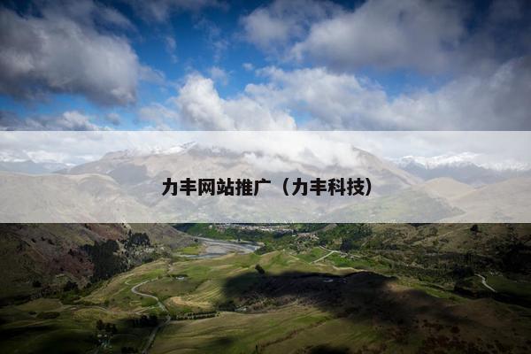 力丰网站推广（力丰科技）