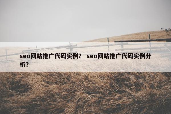 seo网站推广代码实例？ seo网站推广代码实例分析？