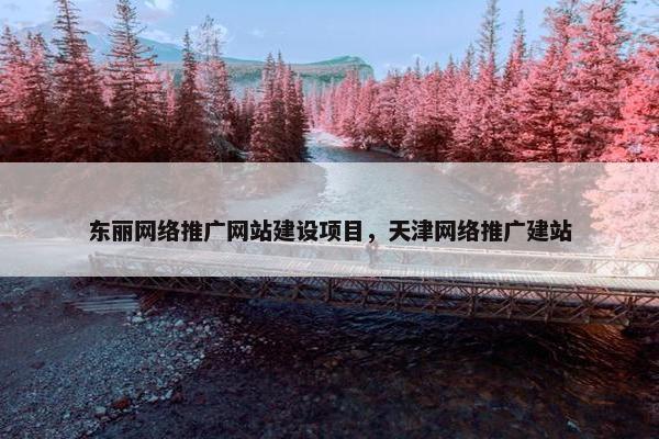 东丽网络推广网站建设项目，天津网络推广建站