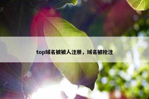 top域名被被人注册，域名被抢注