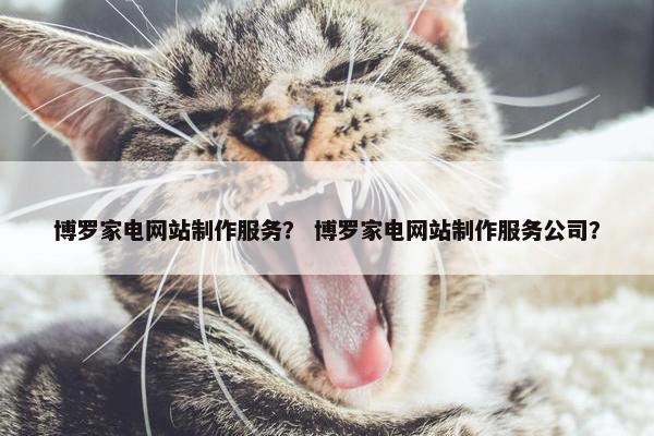 博罗家电网站制作服务？ 博罗家电网站制作服务公司？