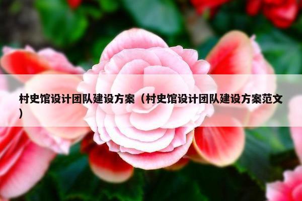村史馆设计团队建设方案（村史馆设计团队建设方案范文）