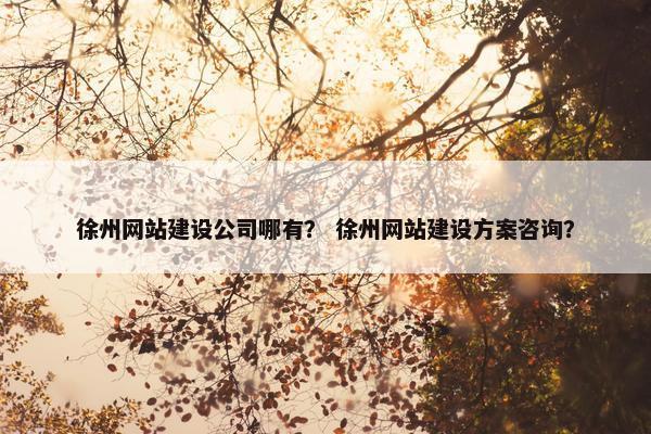 徐州网站建设公司哪有？ 徐州网站建设方案咨询？