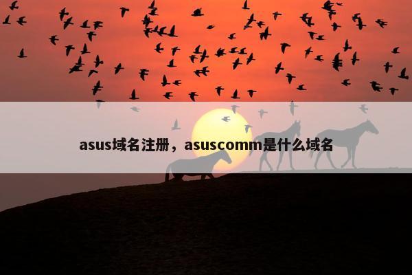 asus域名注册，asuscomm是什么域名