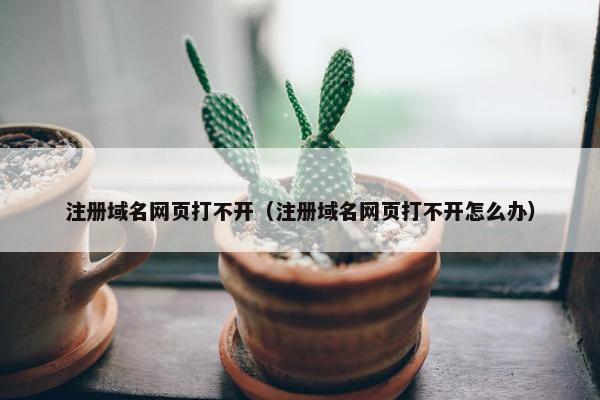 注册域名网页打不开（注册域名网页打不开怎么办）