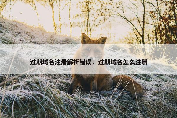 过期域名注册解析错误，过期域名怎么注册