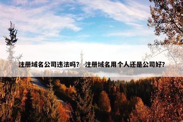 注册域名公司违法吗？ 注册域名用个人还是公司好？