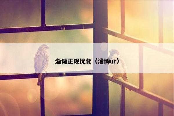 淄博正规优化（淄博ur）
