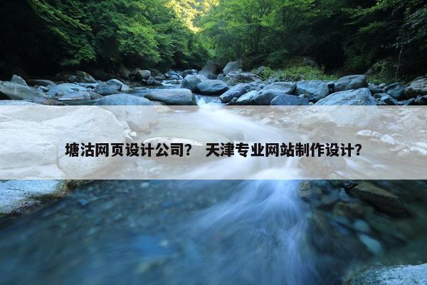 塘沽网页设计公司？ 天津专业网站制作设计？