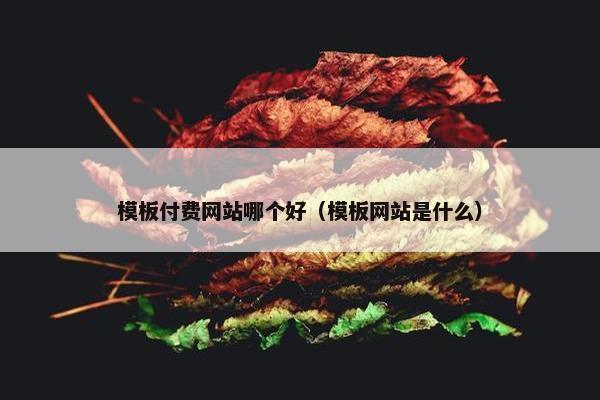 模板付费网站哪个好（模板网站是什么）