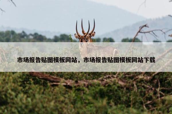 市场报告贴图模板网站，市场报告贴图模板网站下载