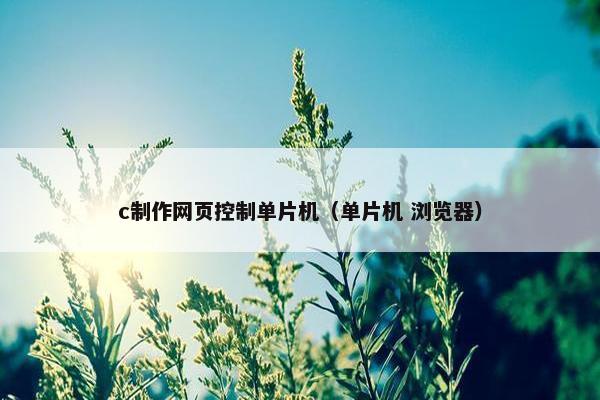 c制作网页控制单片机（单片机 浏览器）