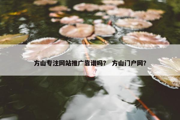 方山专注网站推广靠谱吗？ 方山门户网？