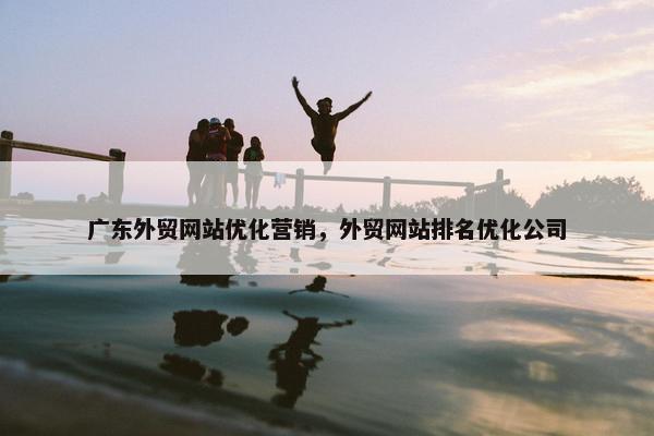 广东外贸网站优化营销，外贸网站排名优化公司