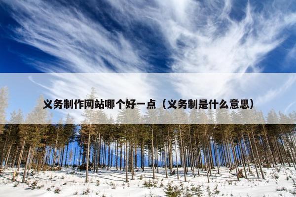 义务制作网站哪个好一点（义务制是什么意思）