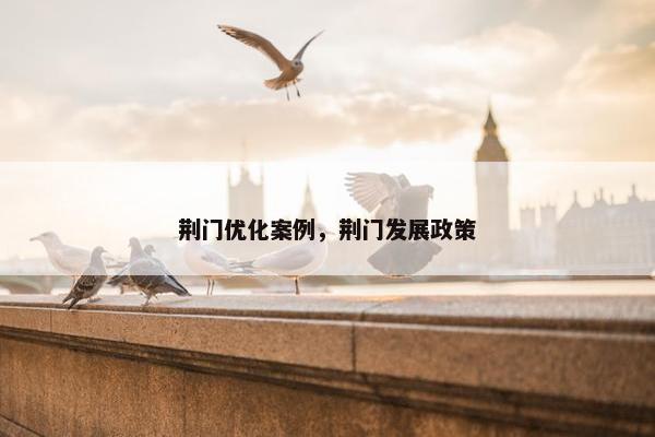 荆门优化案例，荆门发展政策