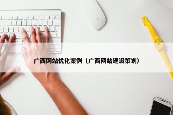 广西网站优化案例（广西网站建设策划）