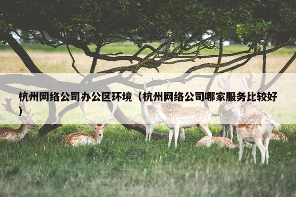 杭州网络公司办公区环境（杭州网络公司哪家服务比较好）