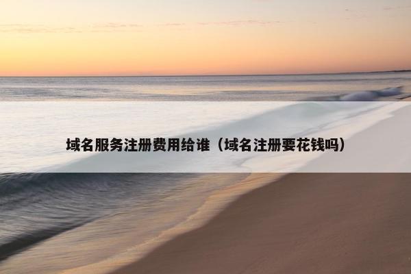 域名服务注册费用给谁（域名注册要花钱吗）