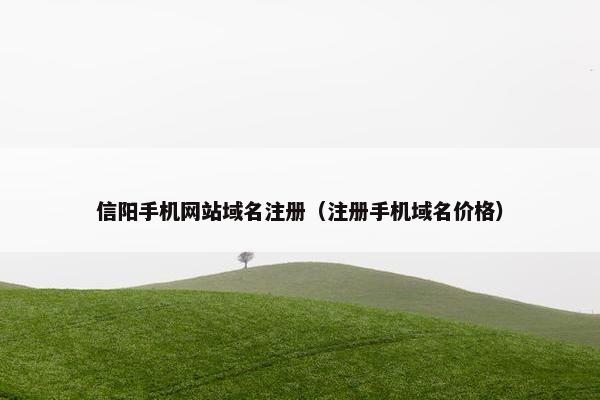 信阳手机网站域名注册（注册手机域名价格）