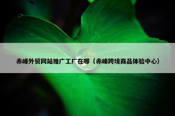 赤峰外贸网站推广工厂在哪（赤峰跨境商品体验中心）