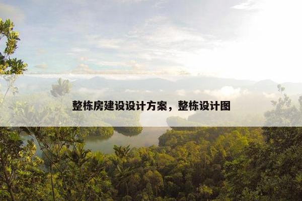 整栋房建设设计方案，整栋设计图
