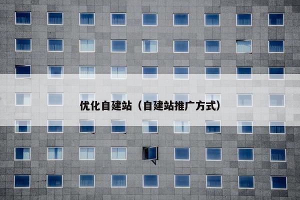 优化自建站（自建站推广方式）