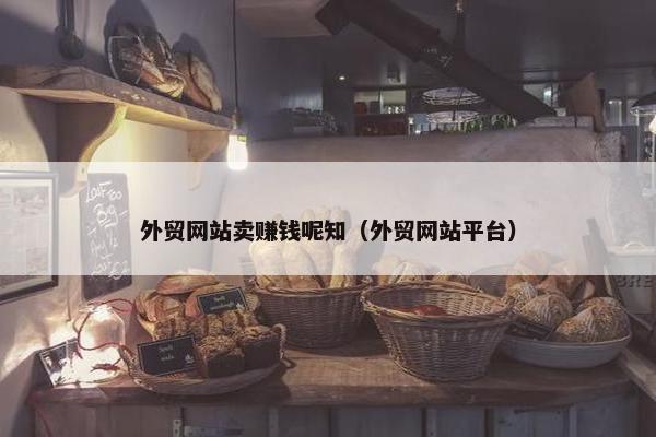外贸网站卖赚钱呢知（外贸网站平台）