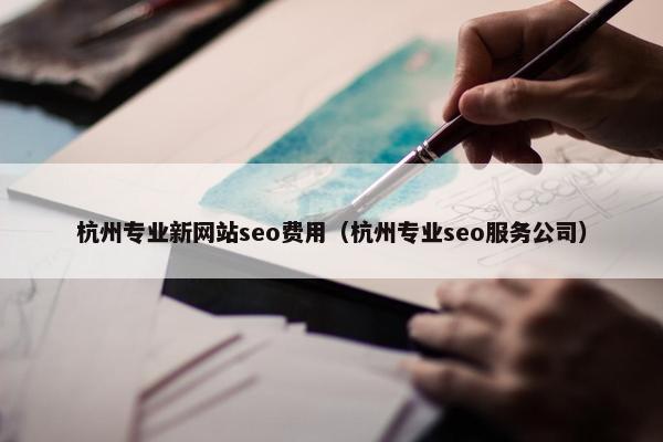 杭州专业新网站seo费用（杭州专业seo服务公司）