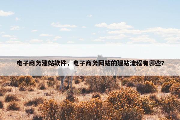 电子商务建站软件，电子商务网站的建站流程有哪些?