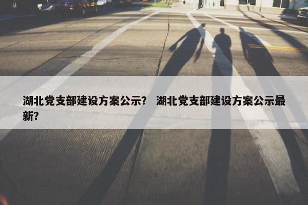 湖北党支部建设方案公示？ 湖北党支部建设方案公示最新？