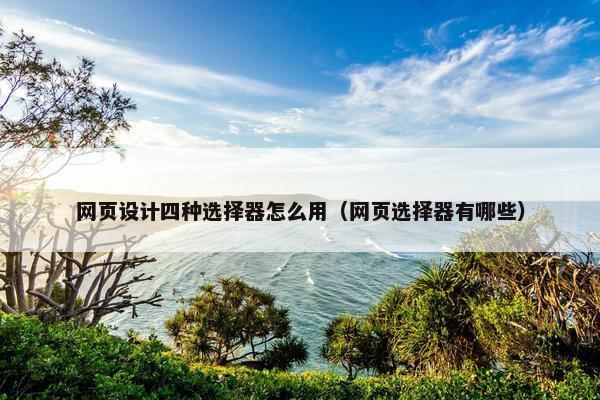 网页设计四种选择器怎么用（网页选择器有哪些）