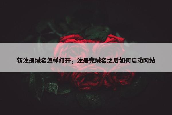 新注册域名怎样打开，注册完域名之后如何启动网站