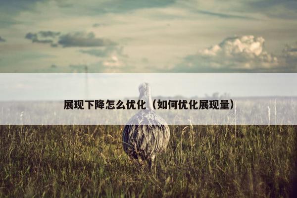 展现下降怎么优化（如何优化展现量）
